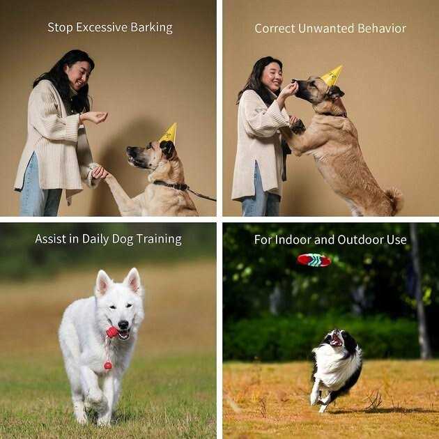 Ultrasonic Pet Behavior Training Remote I296813