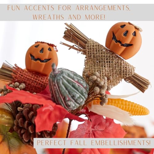 Set of 12 Assorted Pumpkin Face Picks 8-1/2 Inches High L731317