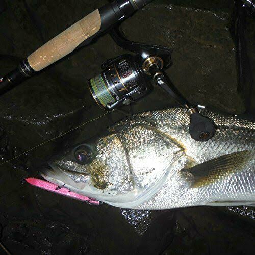 Reel Revo Rocket 3000S L251