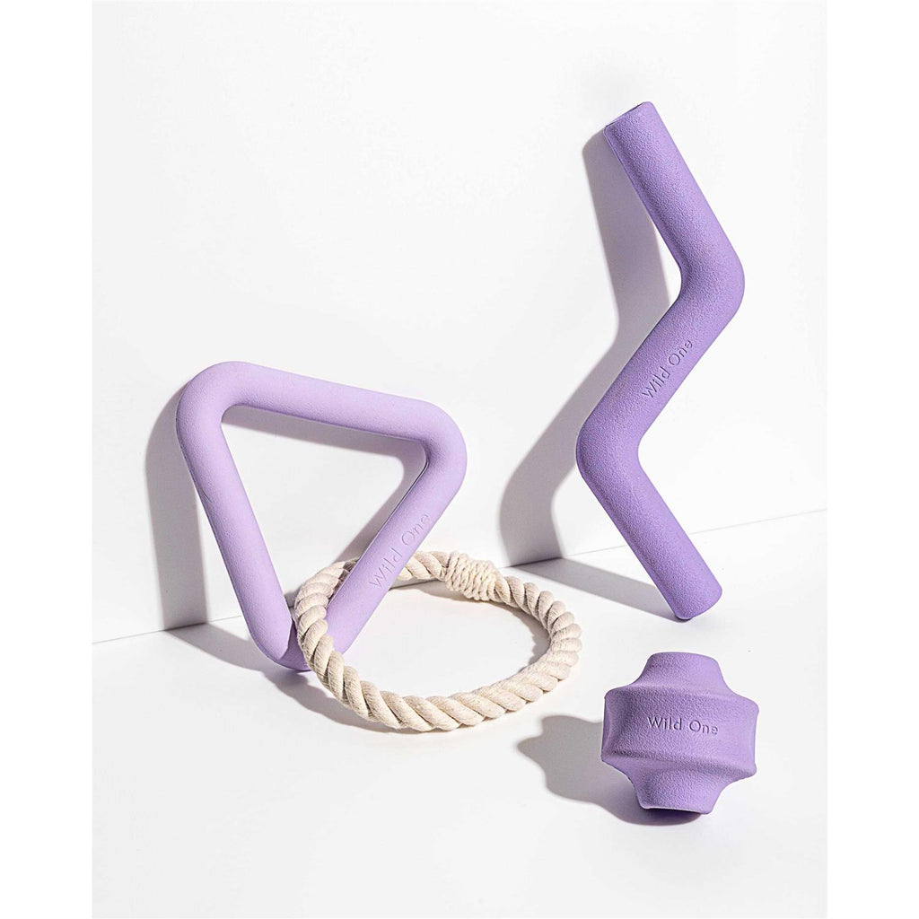 Dog Toy V4163
