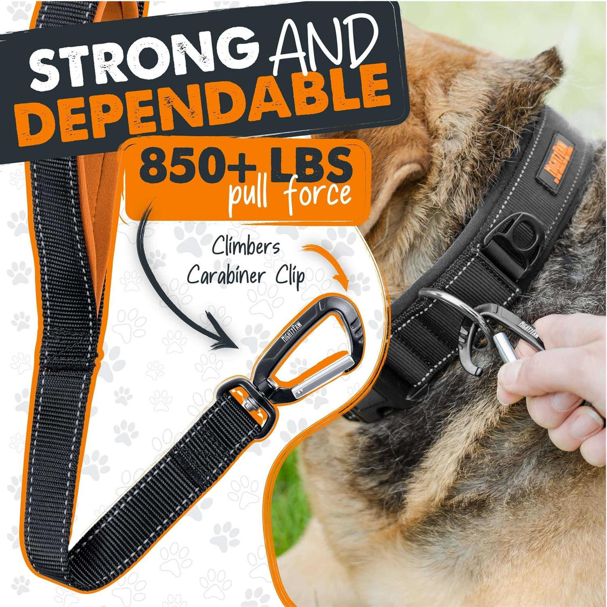 Dual Handle Dog Leash R634657