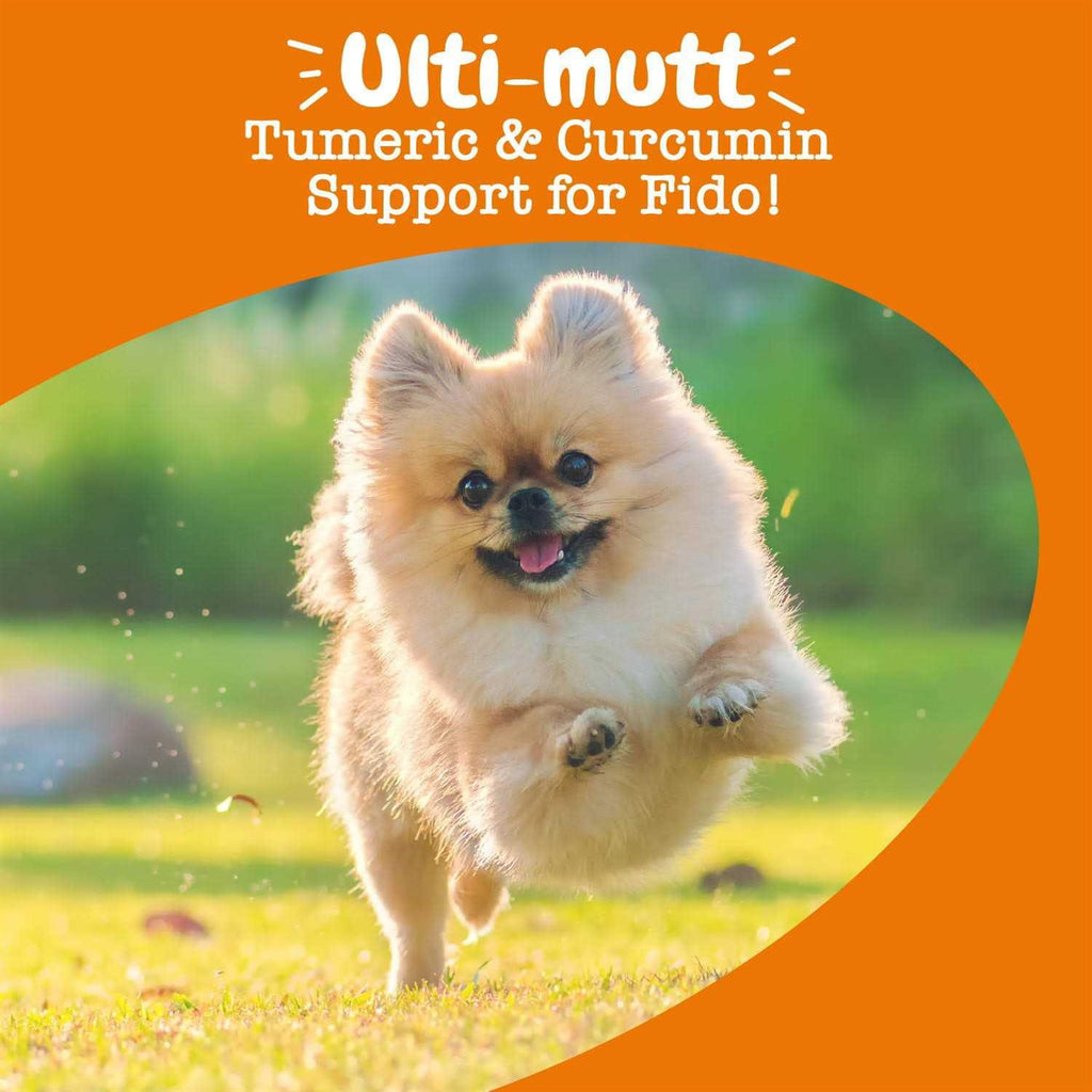 Turmeric Curcumin Bites for Dogs X27575