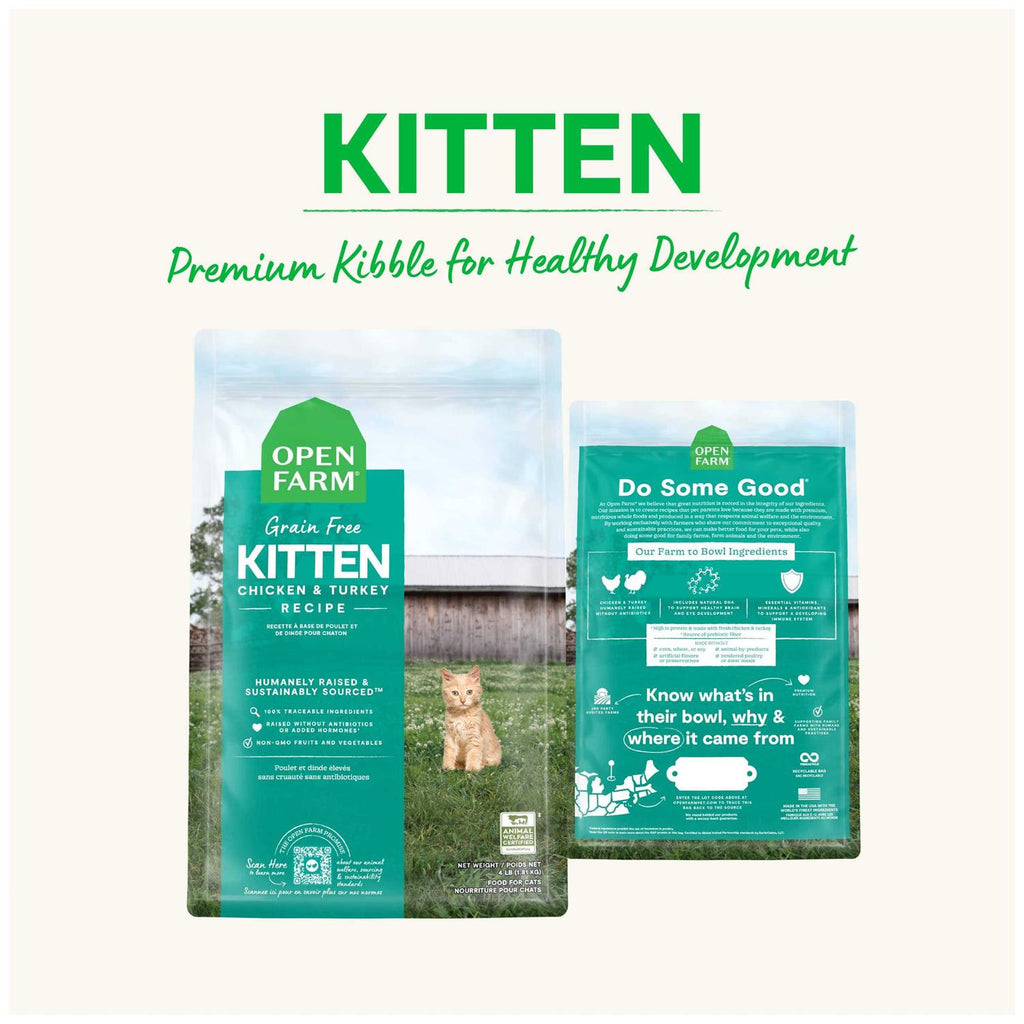 Grain Free Kitten Recipe L24385