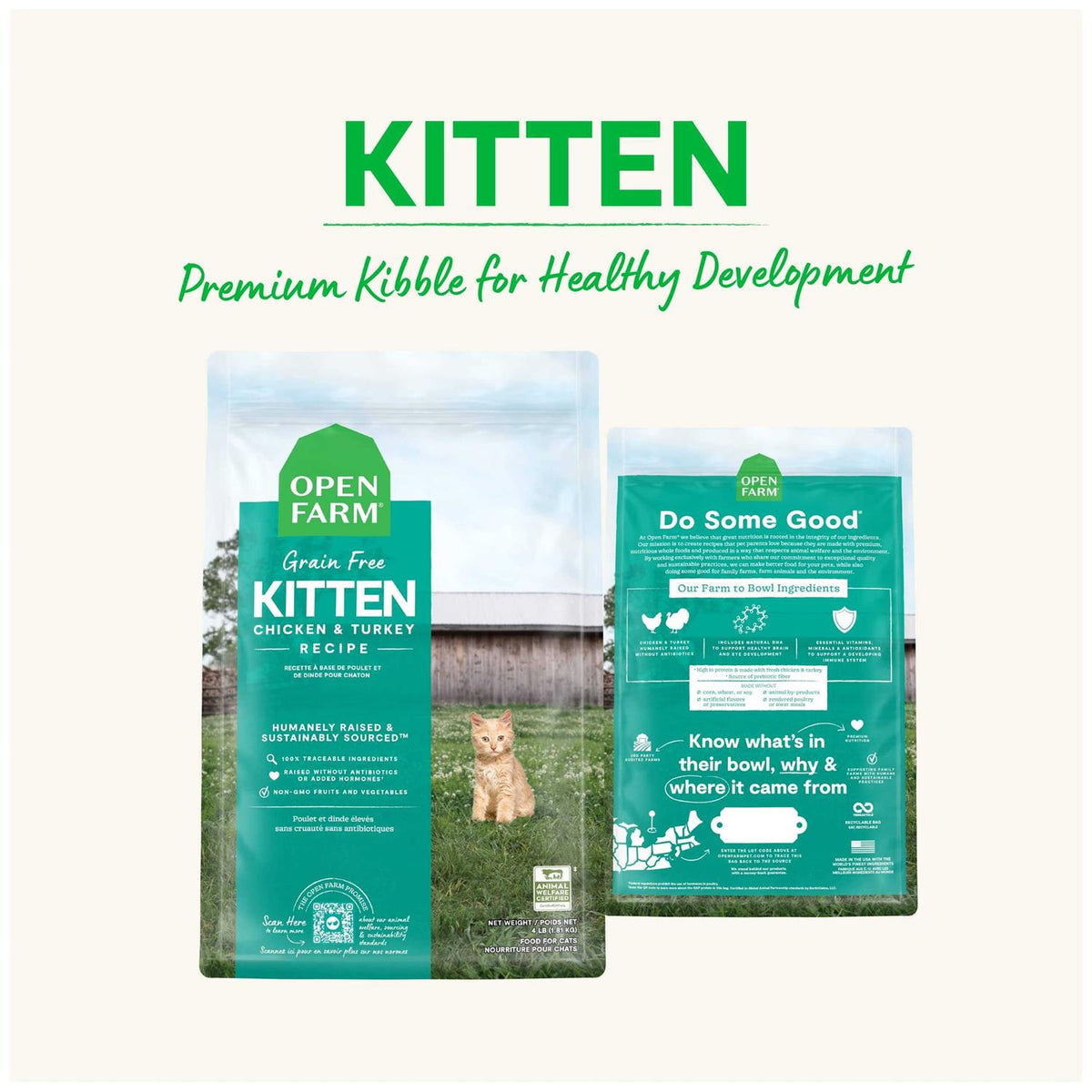 Grain Free Kitten Recipe L24385
