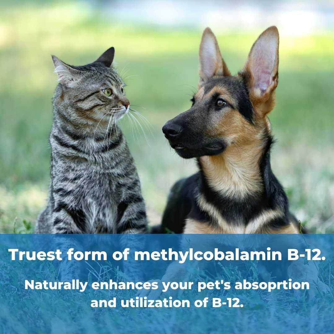 Pet Factor B-12 M3353
