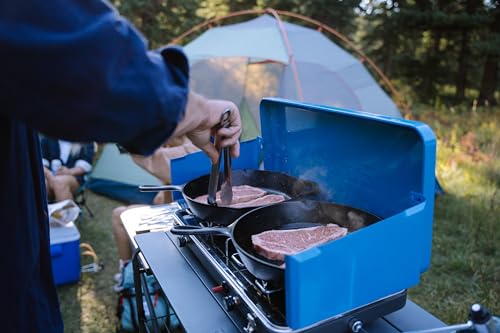 Portable 2-Burner Propane Camping Stove T498604