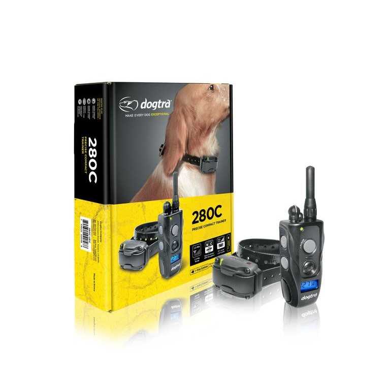 Dog Remote Training Collar H101472