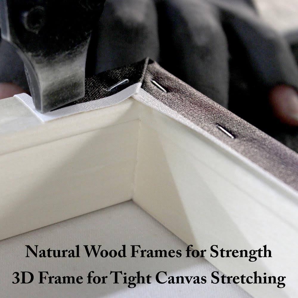 Canvas Art F99653