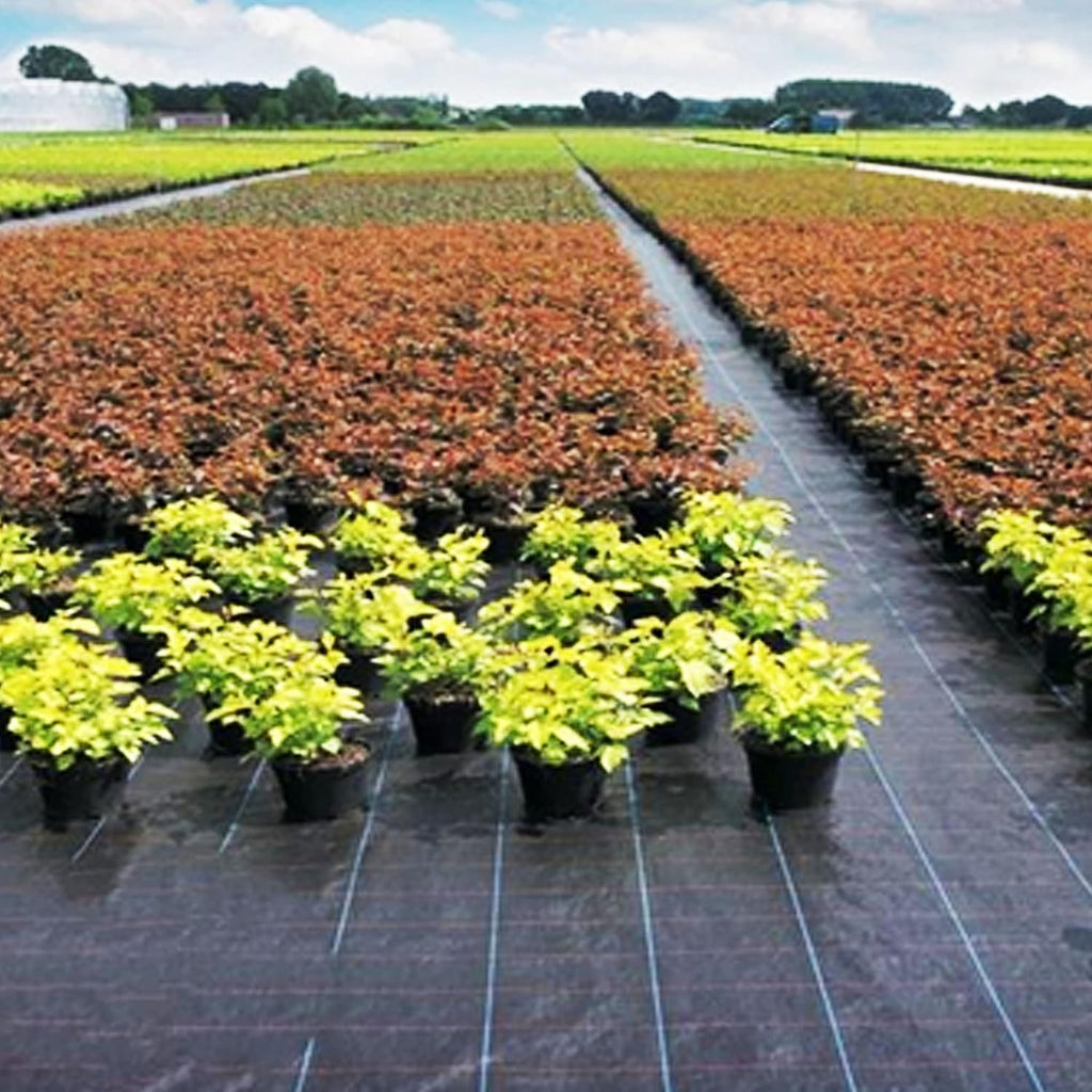 Heavy-Duty Weed Barrier Garden Fabric (3ft x 100ft) R8062