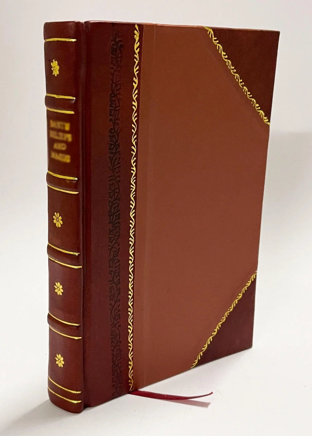 Leather Bound Book V991510
