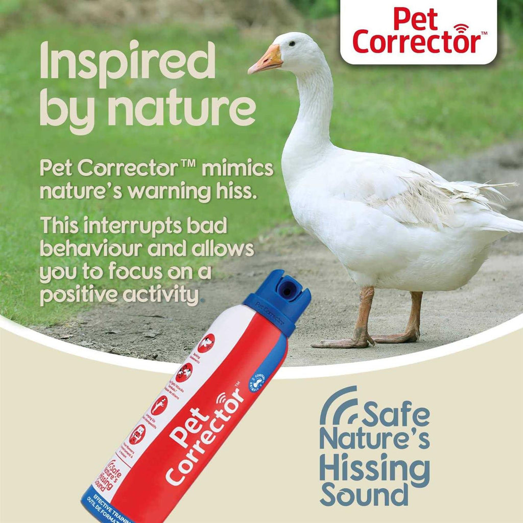 Pet Corrector V4469