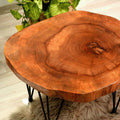 Walnut Live Edge Solid Wood Round Coffee Table (24") X88164