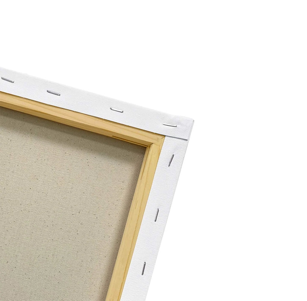 Decorative Canvas Wall Art P548