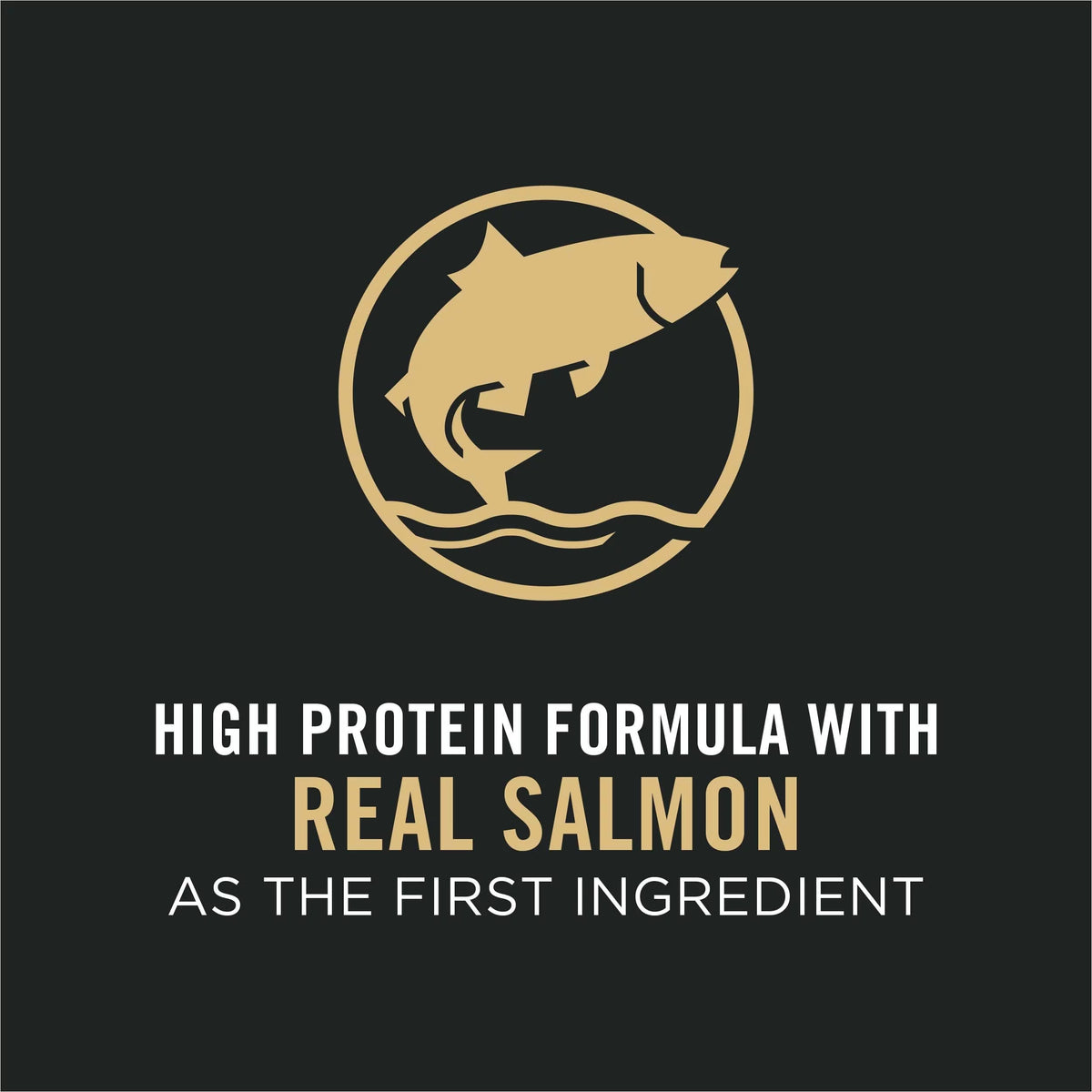 Dry Dog Food 30/20 High Protein, Real Salmon & Rice, 33 lb Bag X43657