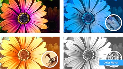 Photoshop Elements 2024 & Premiere Elements 2024 PC Code Software O120230