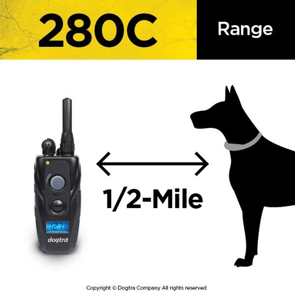 Dog Remote Training Collar H101472