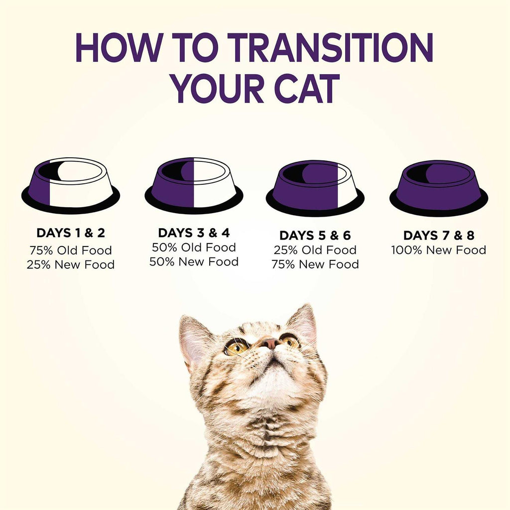 Grain Free Senior Dry Cat Food T228