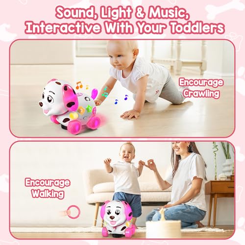 Bilingual Musical Learning Toy with Music Light Q61233