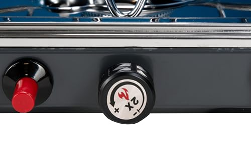 Portable 2-Burner Propane Camping Stove T498604