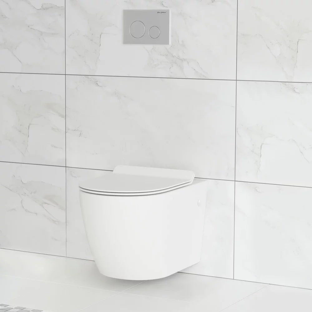 Wall Hung Toilet Bowl X6262