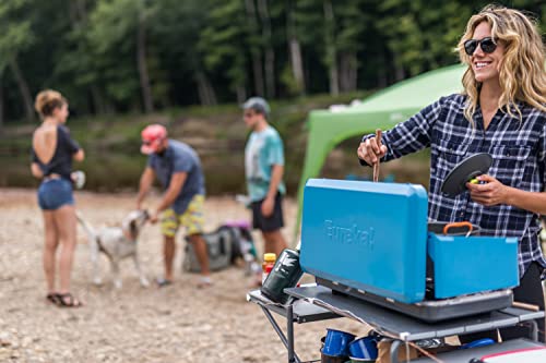 Portable 2-Burner Propane Camping Stove T498604