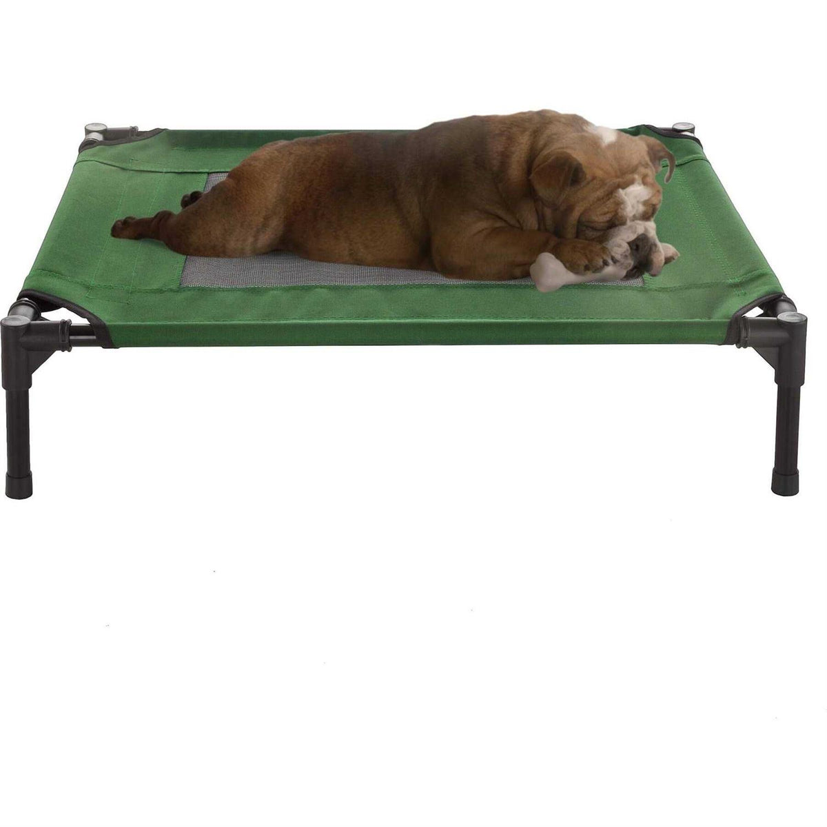 Cot-Style Elevated Pet Bed H279376