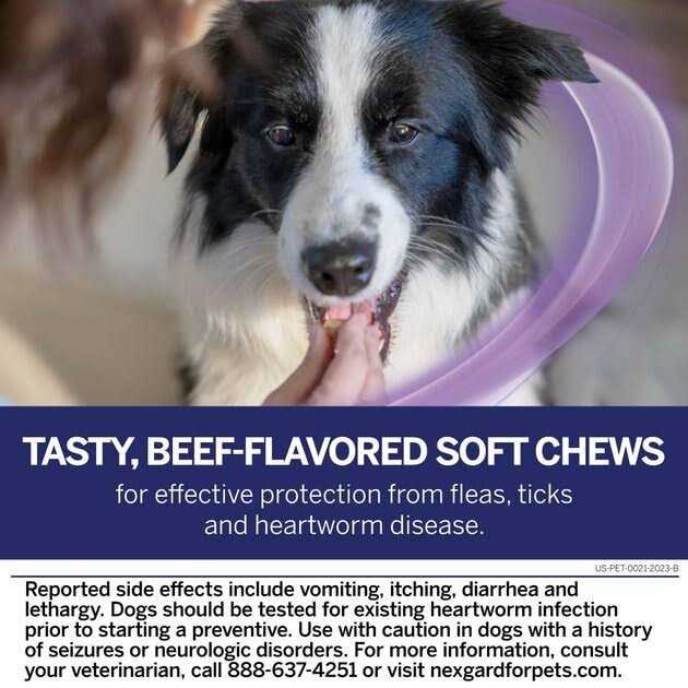 Chew for Dogs K979455