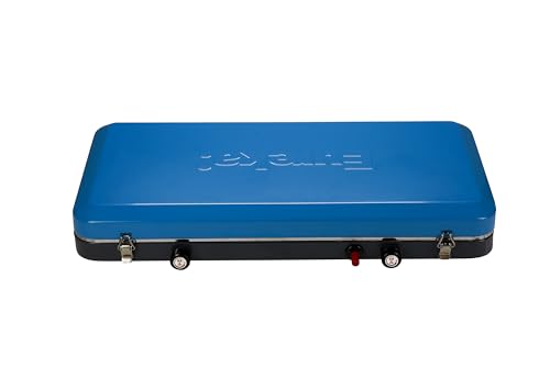 Portable 2-Burner Propane Camping Stove T498604