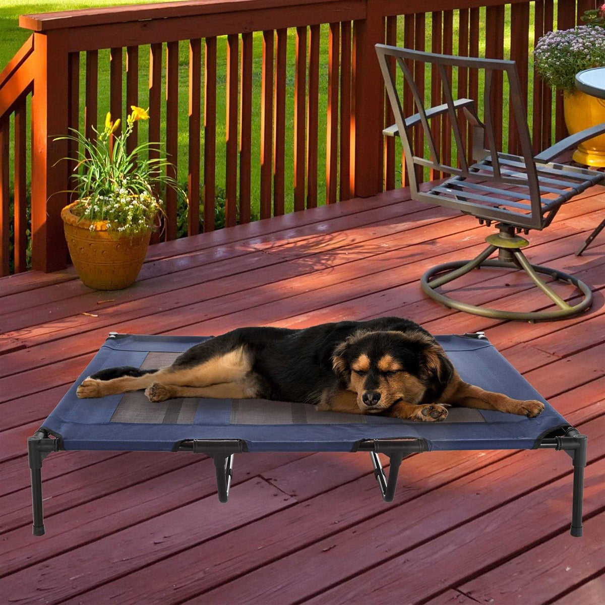Cot-Style Elevated Pet Bed H279376