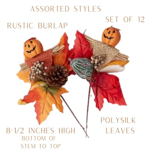 Set of 12 Assorted Pumpkin Face Picks 8-1/2 Inches High L731317