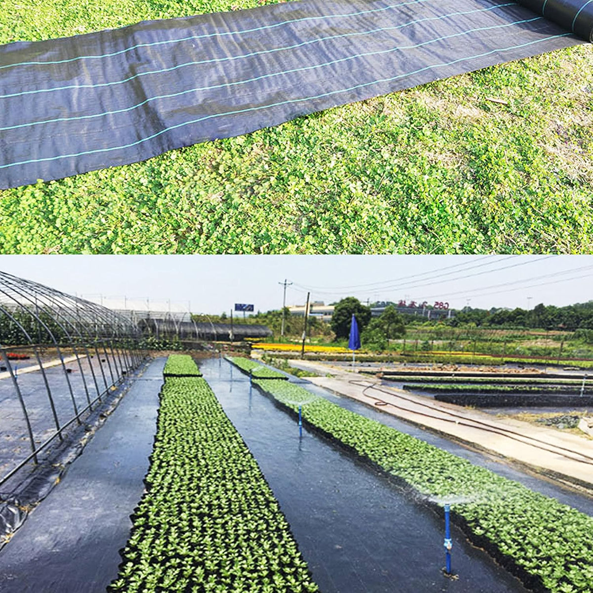 Heavy-Duty Weed Barrier Garden Fabric (3ft x 100ft) R8062