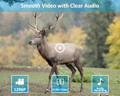 64MP 1296p Trail Camera with 100ft Night Vision Z55320