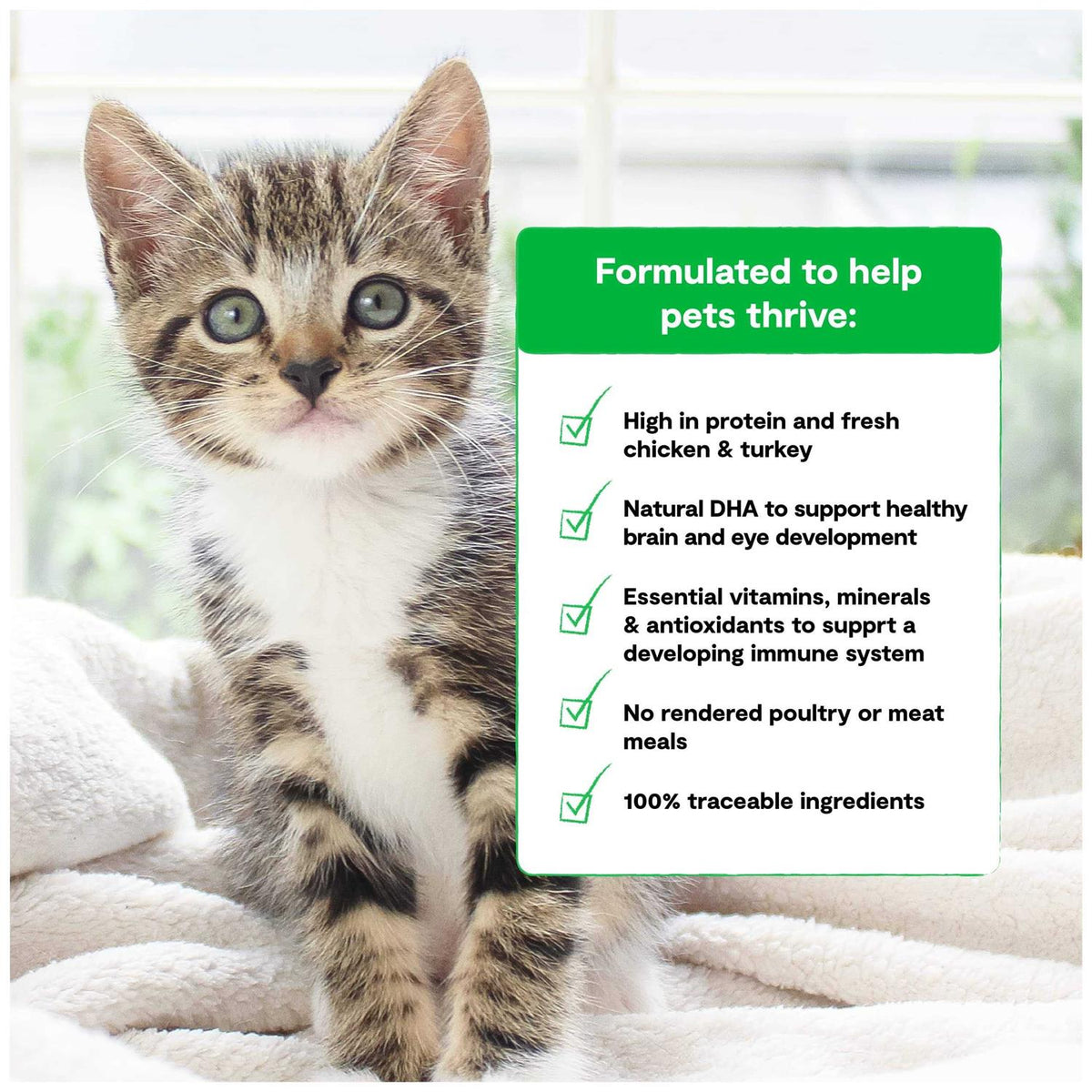 Grain Free Kitten Recipe L24385