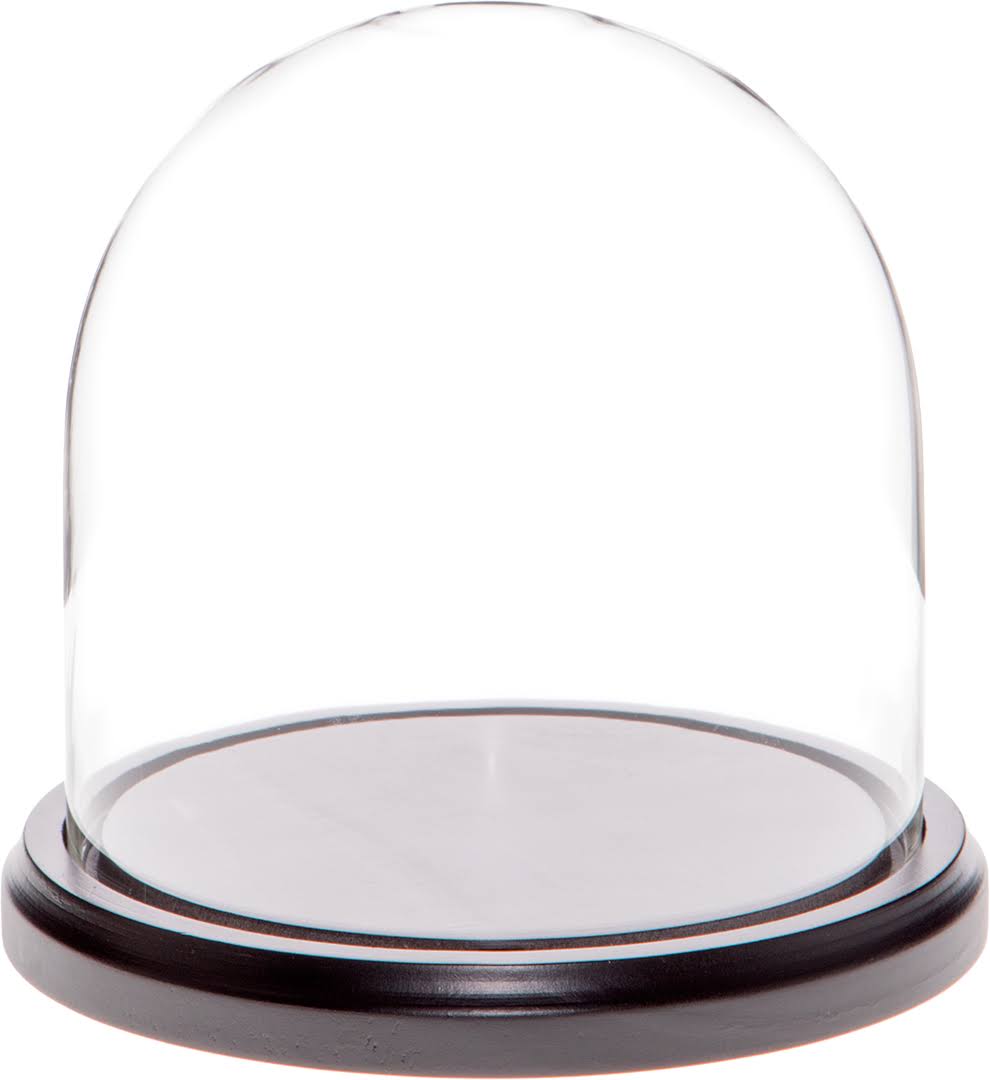 5.5" x 5.5" Glass Display Dome Cloche (Black Wood Base) Q706