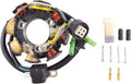 Stator for Yamaha YFB 250 Timberwolf 1992 1993 R916732