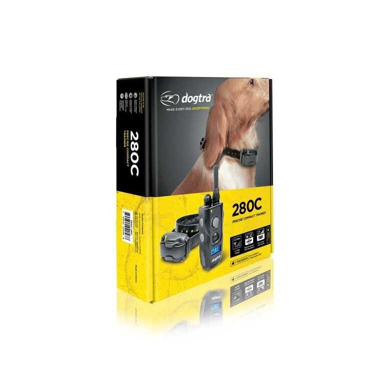 Dog Remote Training Collar H101472