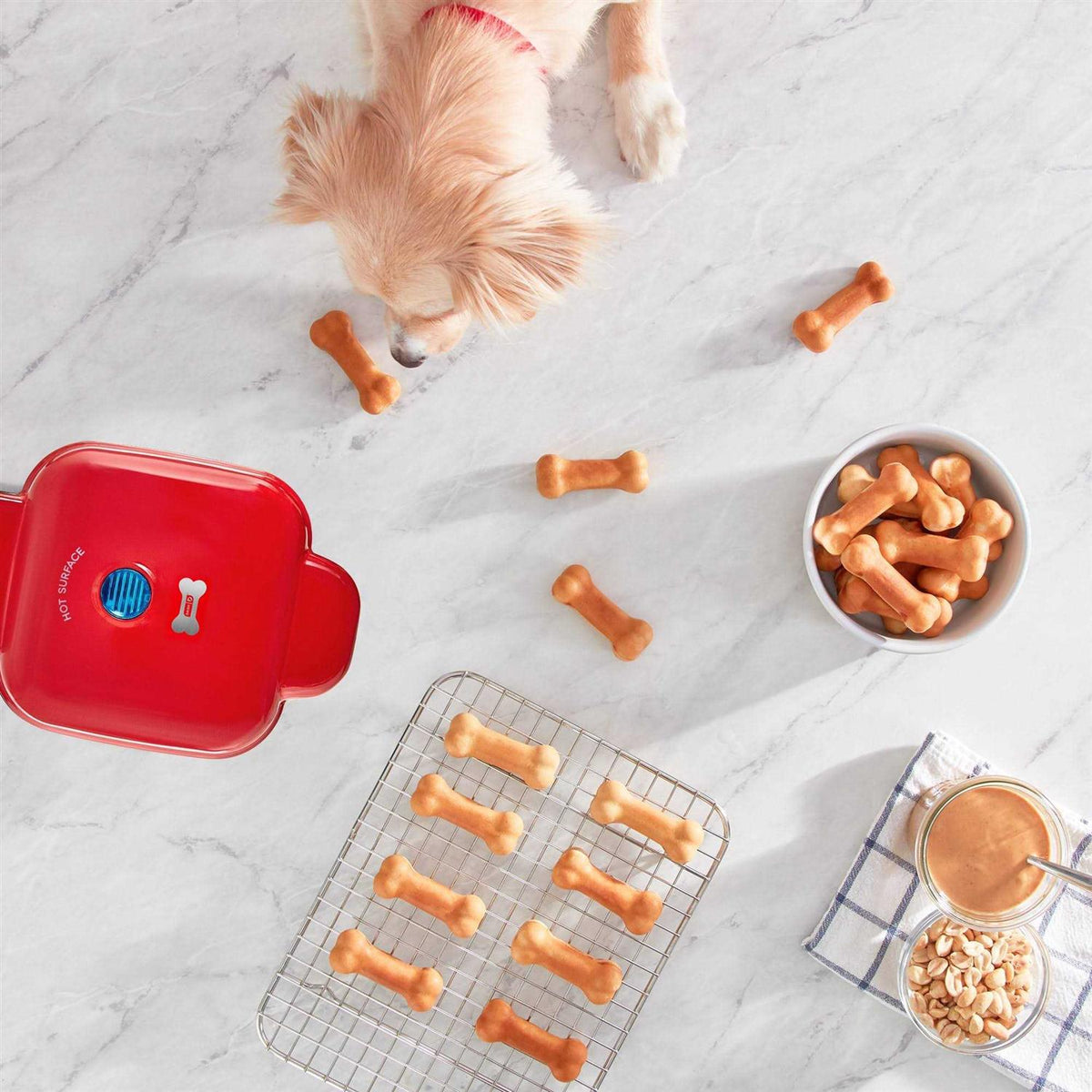 Mini Dog Treat Maker E1272