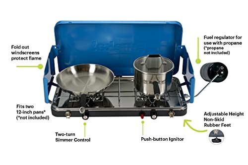 Portable 2-Burner Propane Camping Stove T498604
