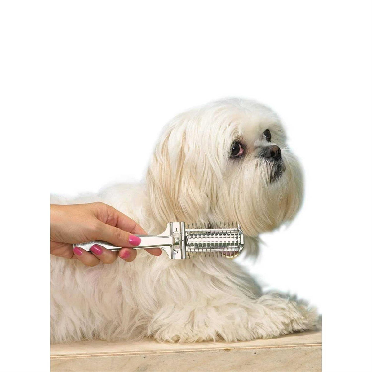 Precision pet grooming appliance L854