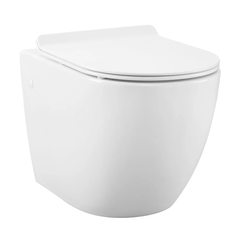 Wall Hung Toilet Bowl X6262