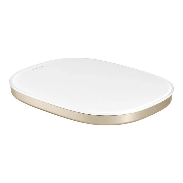 Kitchen Scale E6499