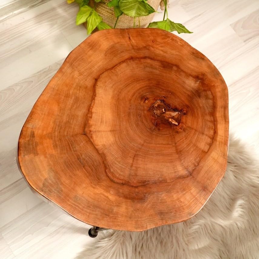Walnut Live Edge Solid Wood Round Coffee Table (24") X88164