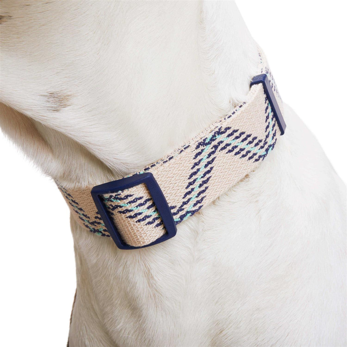 Zig Zag Dog Collar B39050