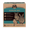 Alfalfa Hay Pet Supplies M732104
