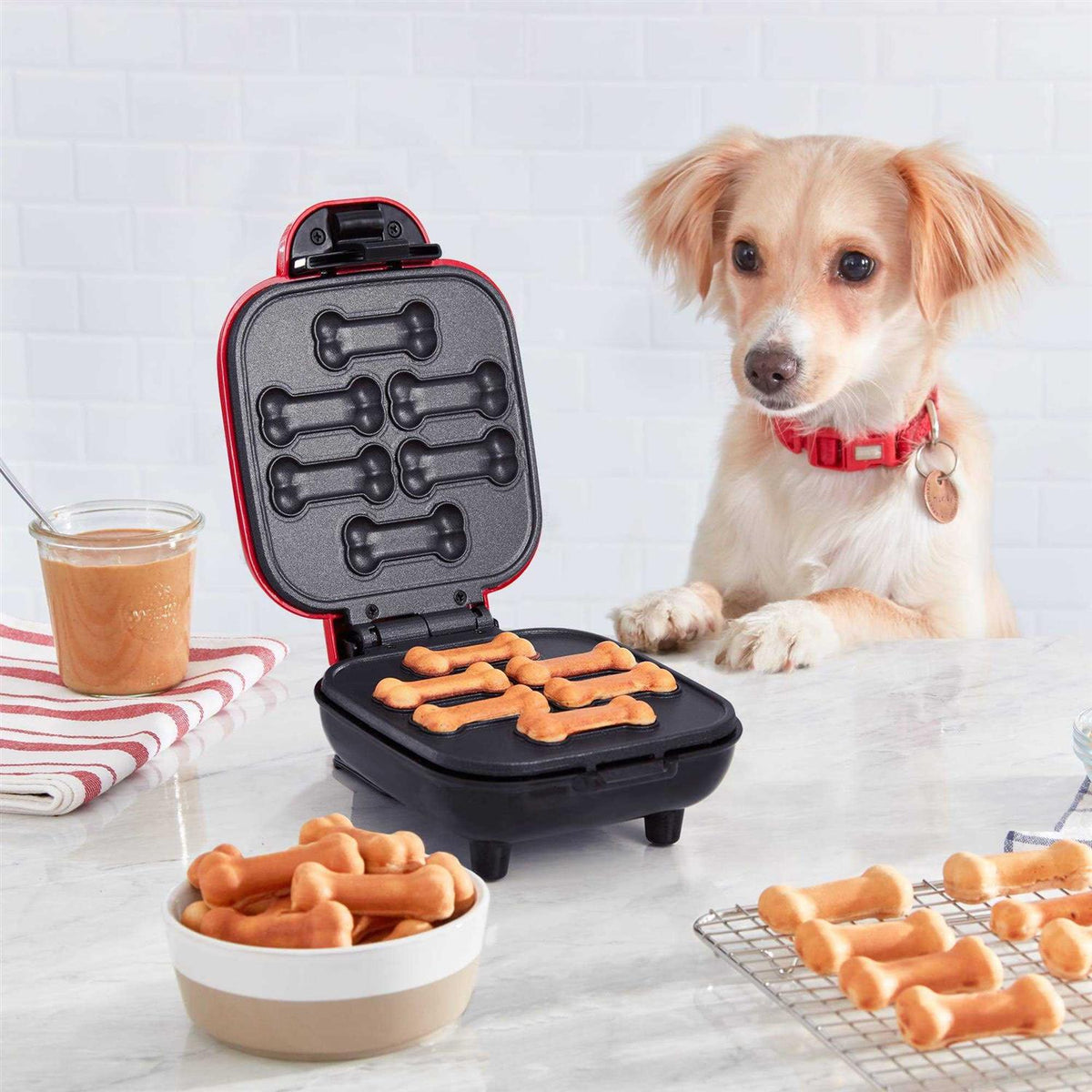 Mini Dog Treat Maker E1272