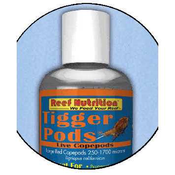 Tigger Pods K16940