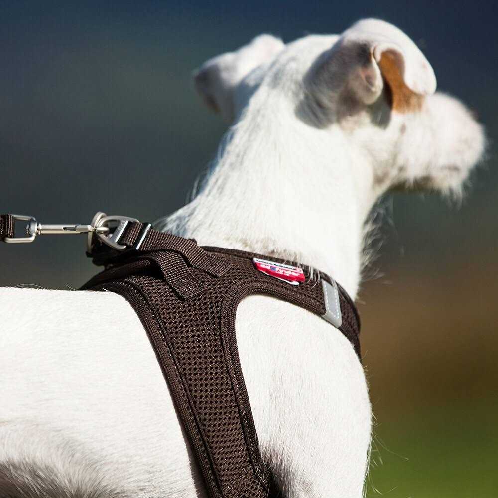 Air-Mesh Dog Harness O85325