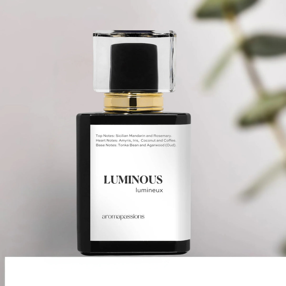 Pheromone Perfume for Men Extrait De Parfum E6937