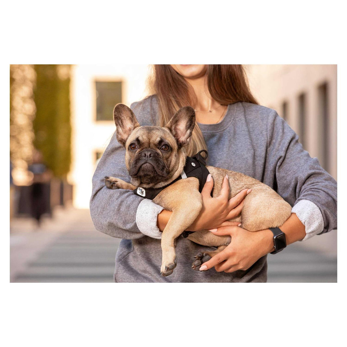 Air-Mesh Dog Harness O85325