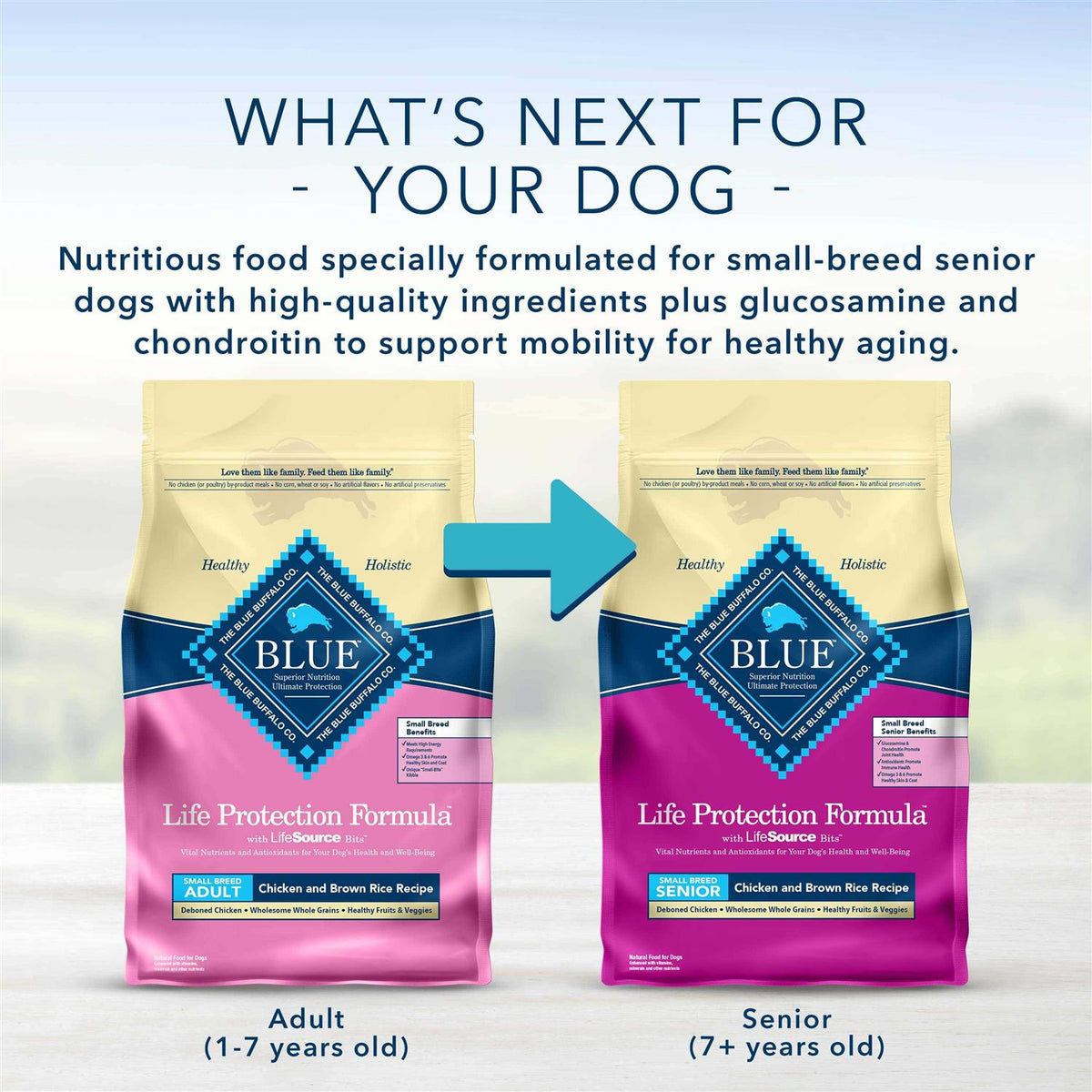 Small Breed Adult Lamb & Brown Rice Recipe Dry Dog Food G499612